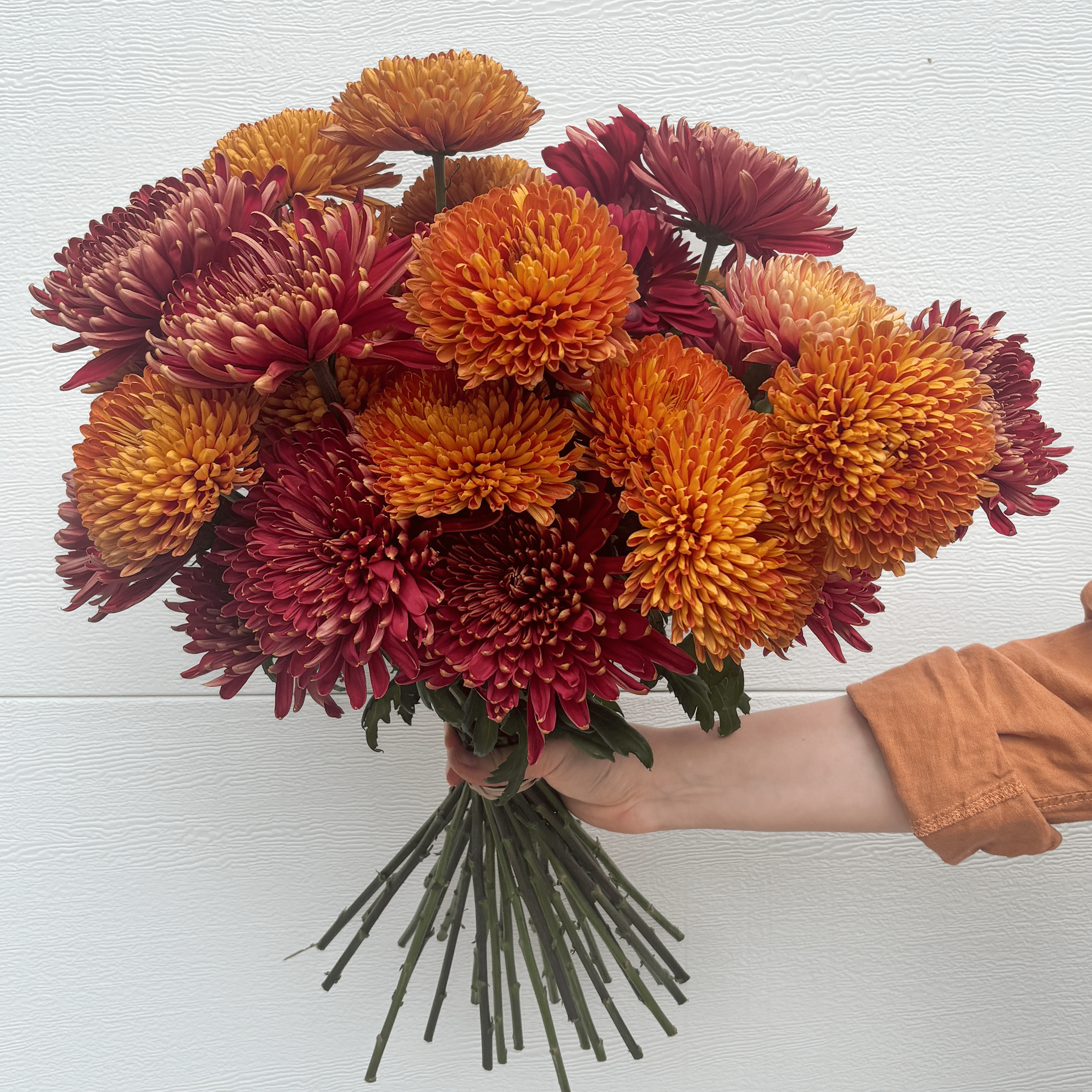 Autumn in Bloom